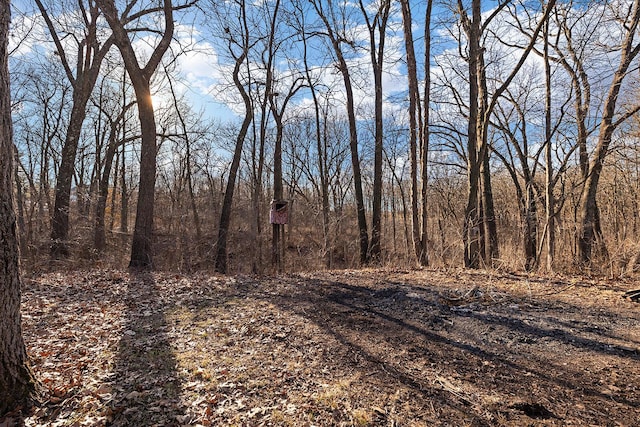 view of local wilderness