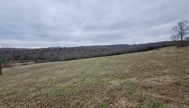 Tbd Highway E, Hartville MO, 65667 land for sale