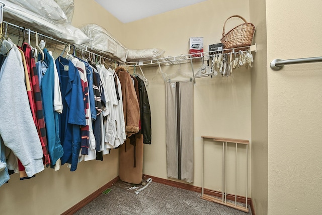 walk in closet with carpet floors