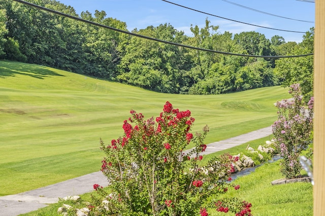 view of home's community with a yard