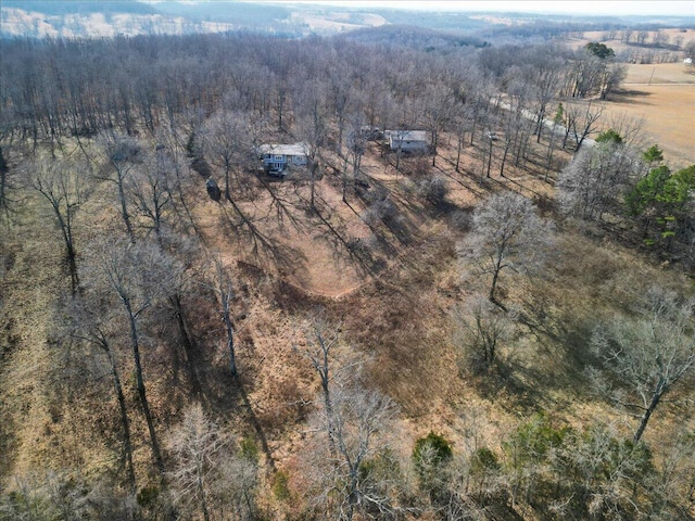 bird's eye view with a rural view