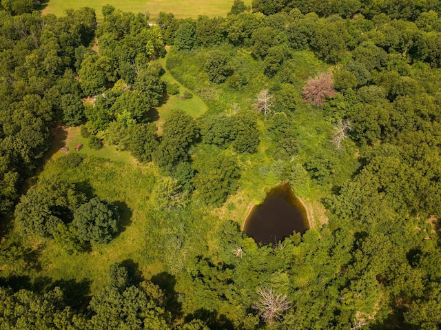 drone / aerial view of a heavily wooded area