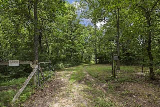 view of dirt / gravel road with a forest view