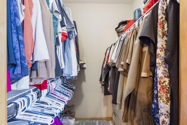 view of spacious closet