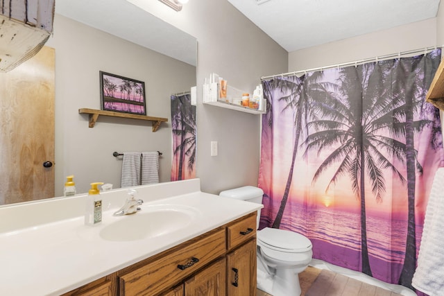 bathroom featuring vanity, toilet, and a shower with shower curtain