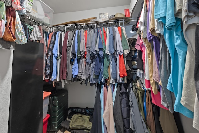 view of spacious closet