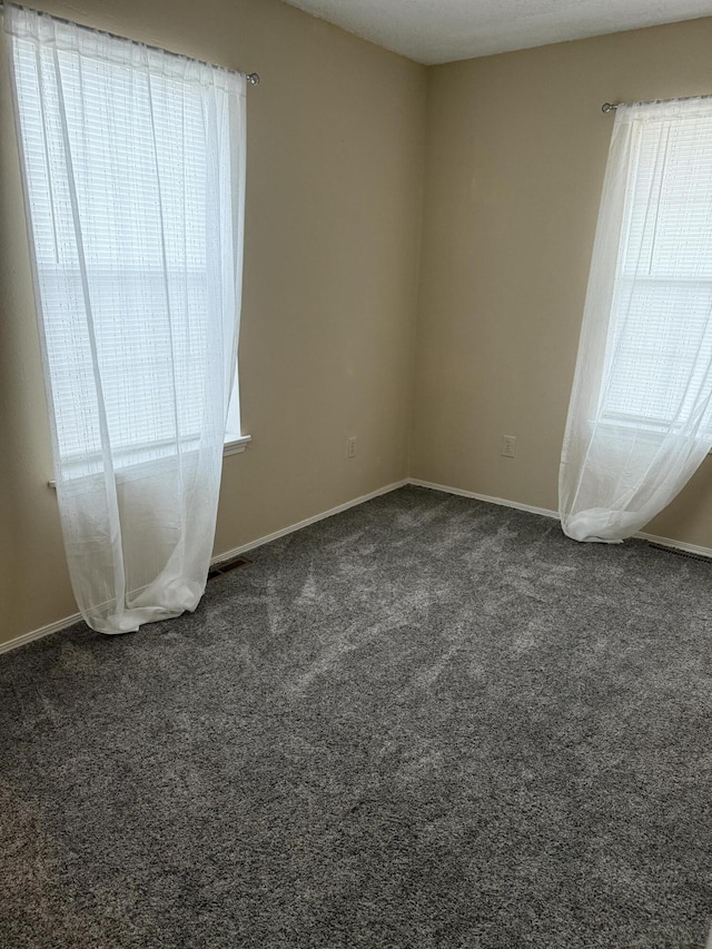 carpeted empty room with plenty of natural light