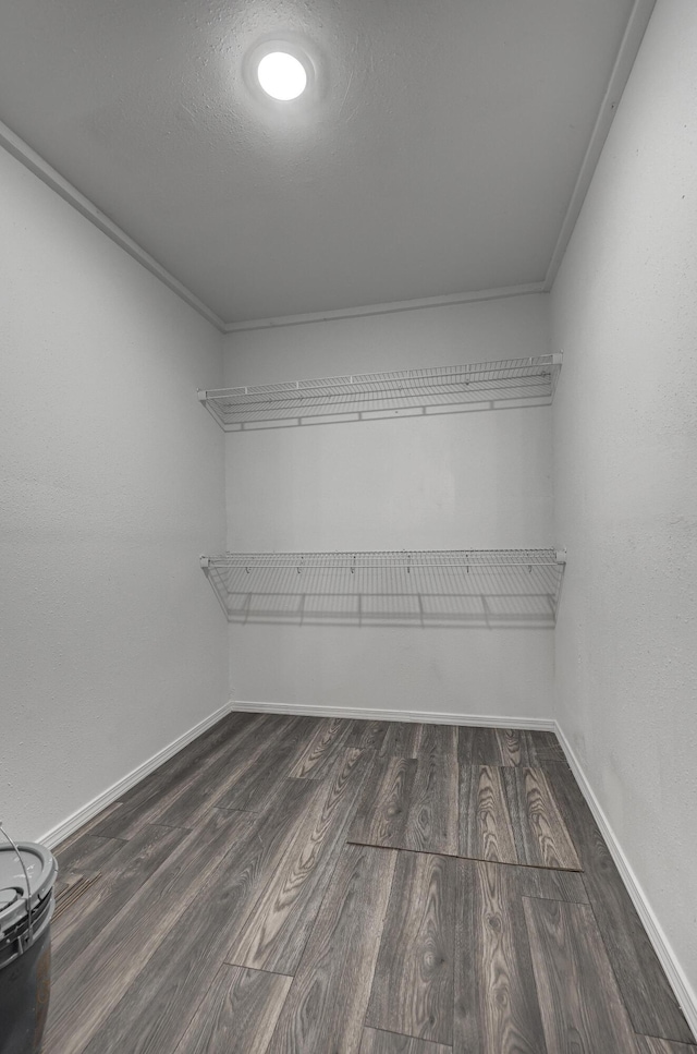 spacious closet with dark hardwood / wood-style flooring