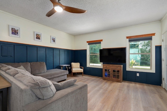 living room with crown molding, ceiling fan, a textured ceiling, and light wood-type flooring