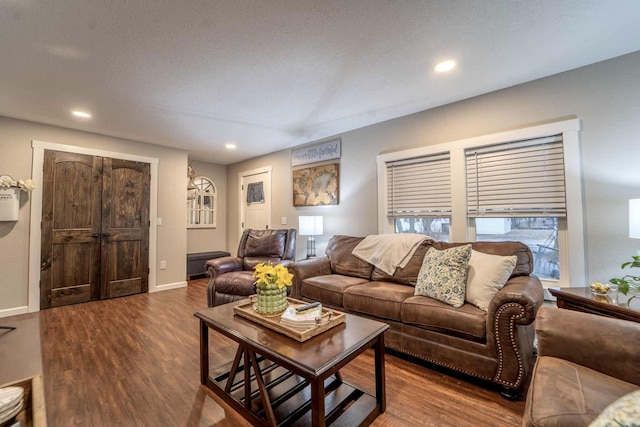 living room featuring dark wood-type flooring