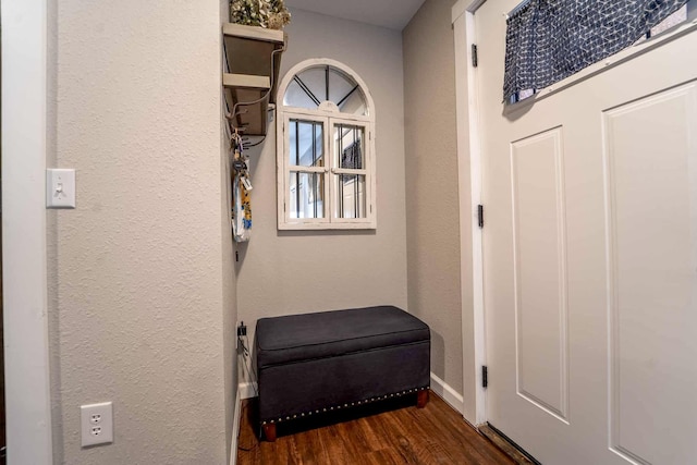 entryway with dark hardwood / wood-style floors