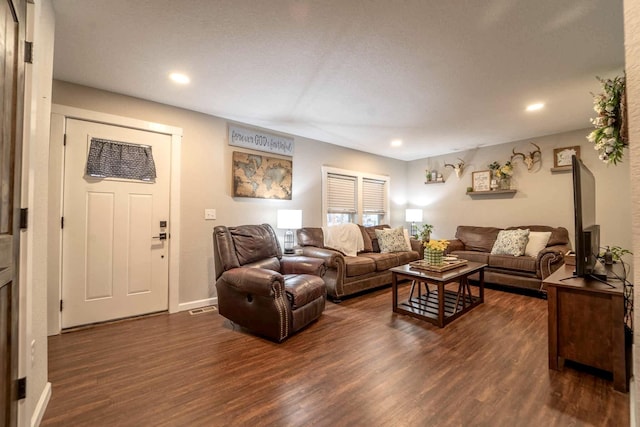 living room featuring dark wood-type flooring