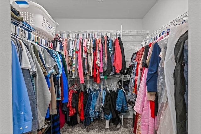 walk in closet with carpet floors