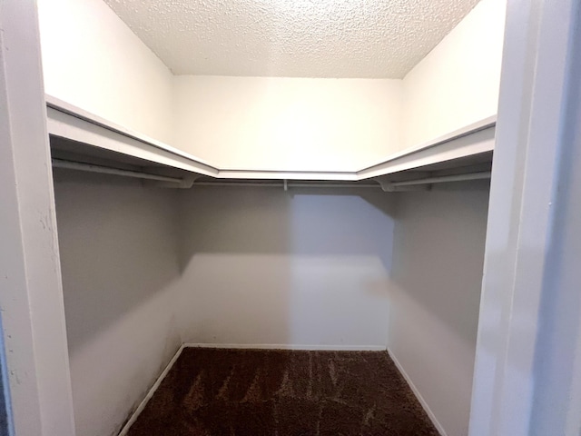 spacious closet featuring carpet floors