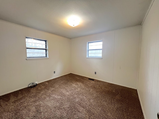 carpeted spare room with a healthy amount of sunlight and a textured ceiling