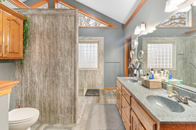 bathroom with lofted ceiling, vanity, wood-type flooring, and toilet