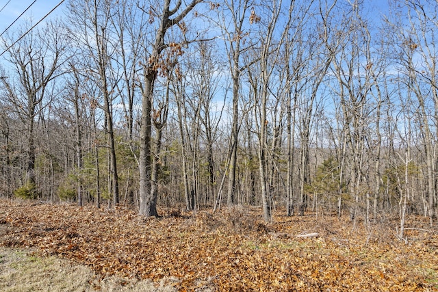 Listing photo 3 for LOT18 Midview Dr, Kimberling City MO 65686