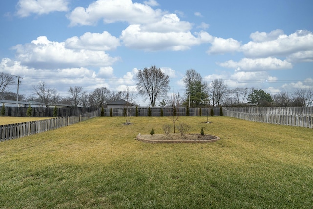 view of yard with a fenced backyard