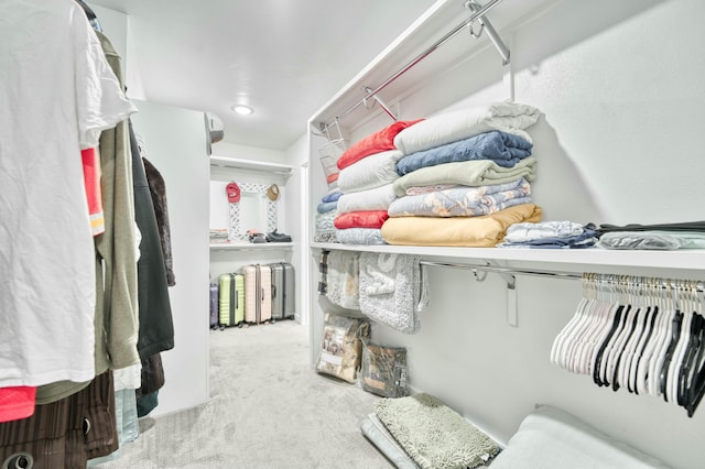 walk in closet with carpet flooring