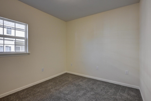 spare room with carpet floors