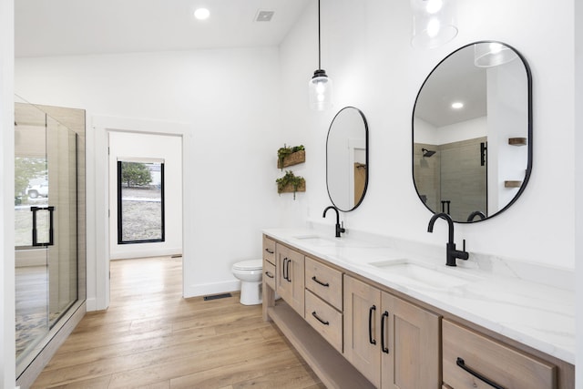 bathroom featuring vanity, an enclosed shower, wood-type flooring, and toilet