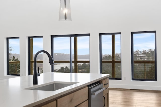 kitchen with pendant lighting, wood-type flooring, sink, stainless steel dishwasher, and a healthy amount of sunlight