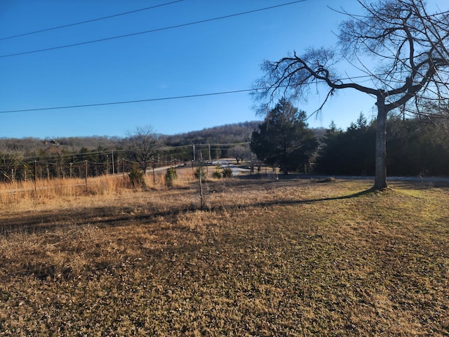 view of yard featuring a rural view