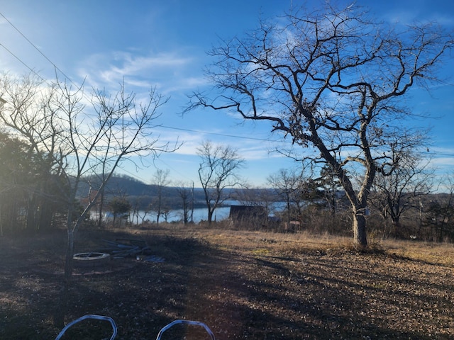 view of yard with a water view