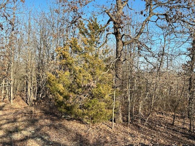 380 Moonlight Rd, Mammoth Spring, AR 72554 - photo 11