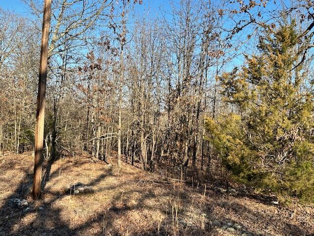 380 Moonlight Rd, Mammoth Spring, AR 72554 - photo 12