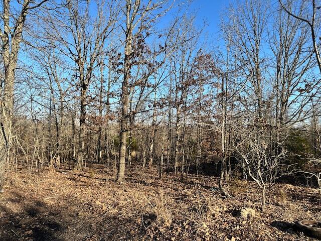 380 Moonlight Rd, Mammoth Spring, AR 72554 - photo 8