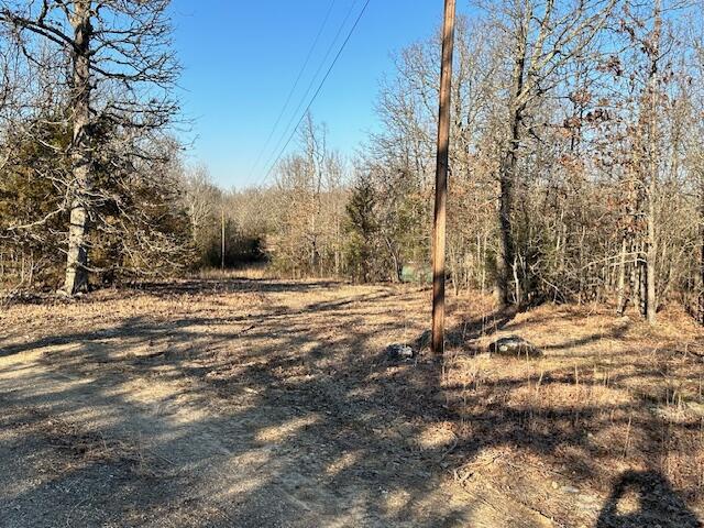 380 Moonlight Rd, Mammoth Spring, AR 72554 - photo 10