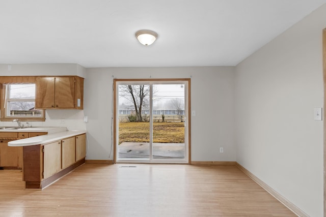 kitchen featuring plenty of natural light, sink, and light hardwood / wood-style floors