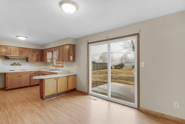 kitchen featuring plenty of natural light, white cooktop, sink, and light wood-type flooring