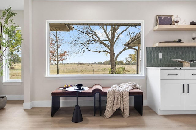 living area with light hardwood / wood-style flooring