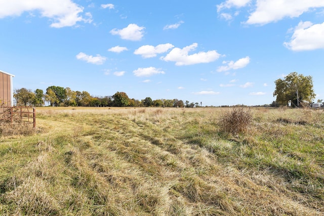 view of local wilderness featuring a rural view