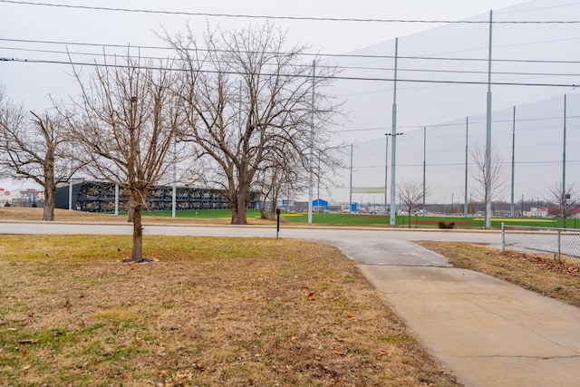 view of community with a yard