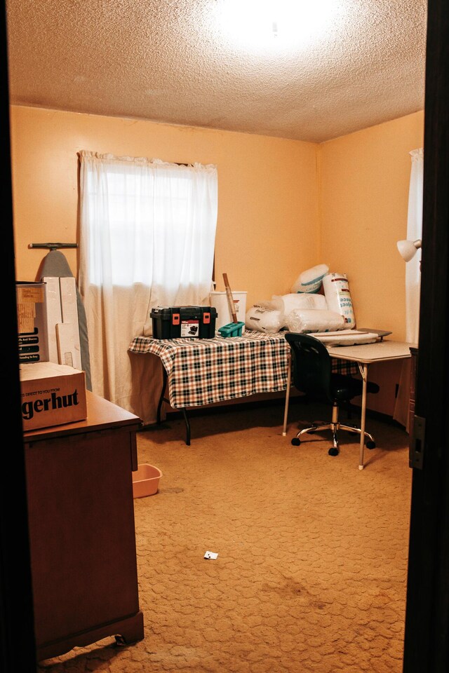 17162 Edgewood Dr, Winona, MO 65588 - carpeted bedroom with a textured ceiling