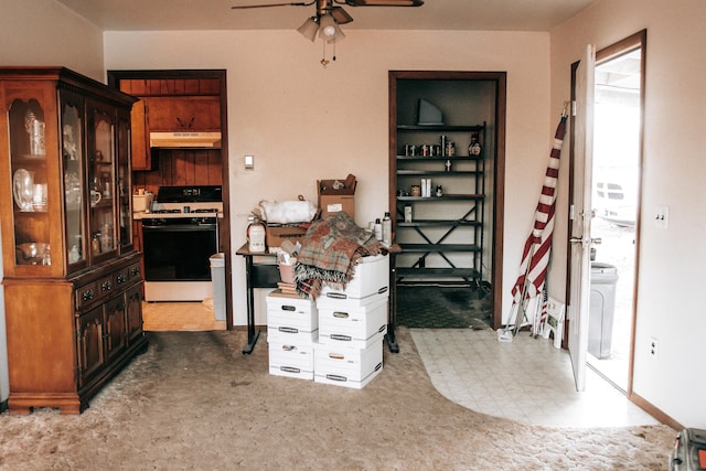 17162 Edgewood Dr, Winona, MO 65588 - kitchen featuring ceiling fan, dark brown cabinets, and gas range gas stove