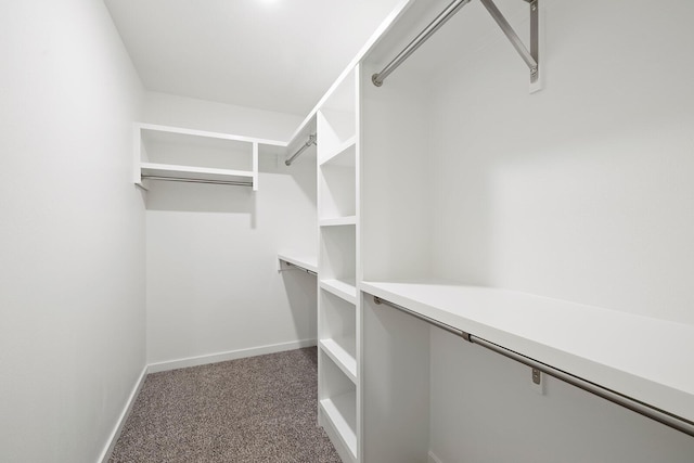 spacious closet with carpet floors