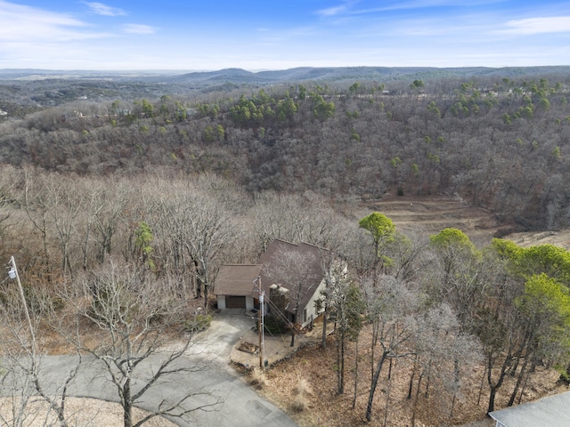 aerial view with a mountain view