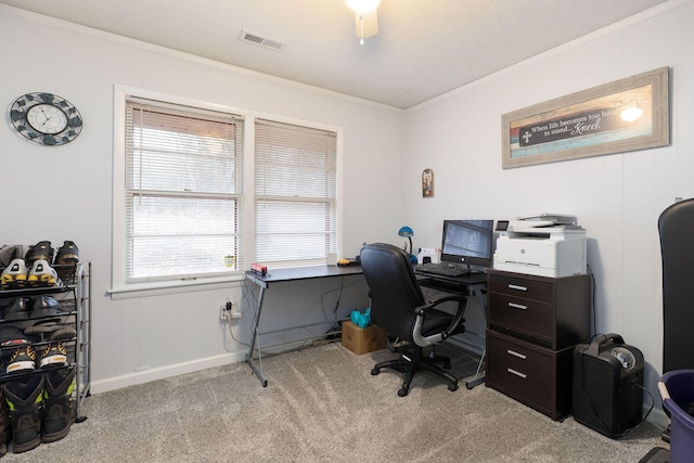 carpeted home office featuring ornamental molding