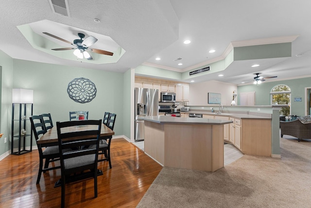 kitchen with a tray ceiling, stainless steel appliances, kitchen peninsula, and a kitchen island