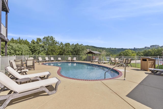 view of pool featuring a patio