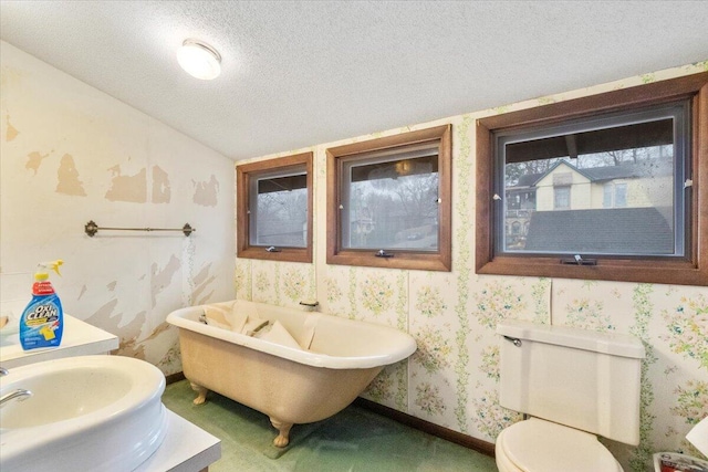 bathroom with toilet, sink, a textured ceiling, and a washtub