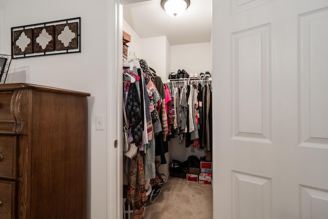 spacious closet featuring carpet