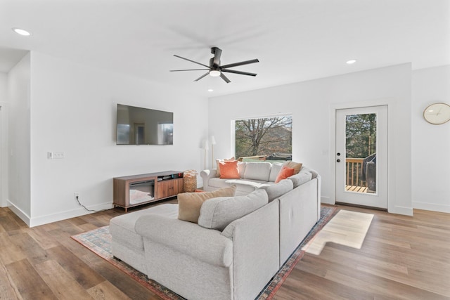 living room with ceiling fan and light wood-type flooring