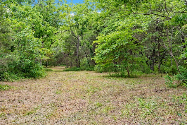 000 N State Highway 125, Strafford MO, 65757 land for sale