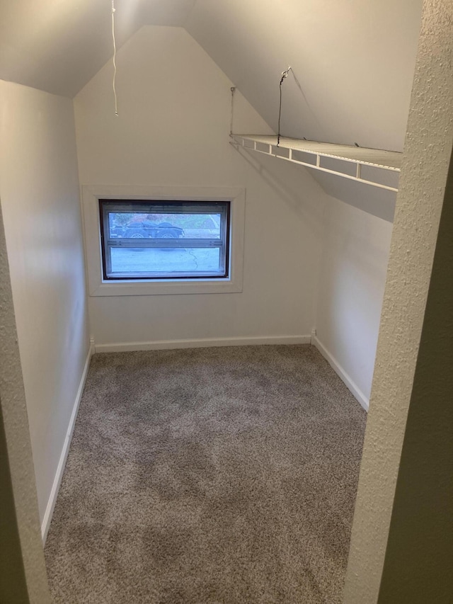 walk in closet featuring carpet flooring and vaulted ceiling