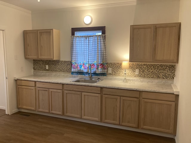 kitchen featuring tasteful backsplash, sink, crown molding, and dark wood-type flooring